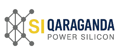 Power Silicon